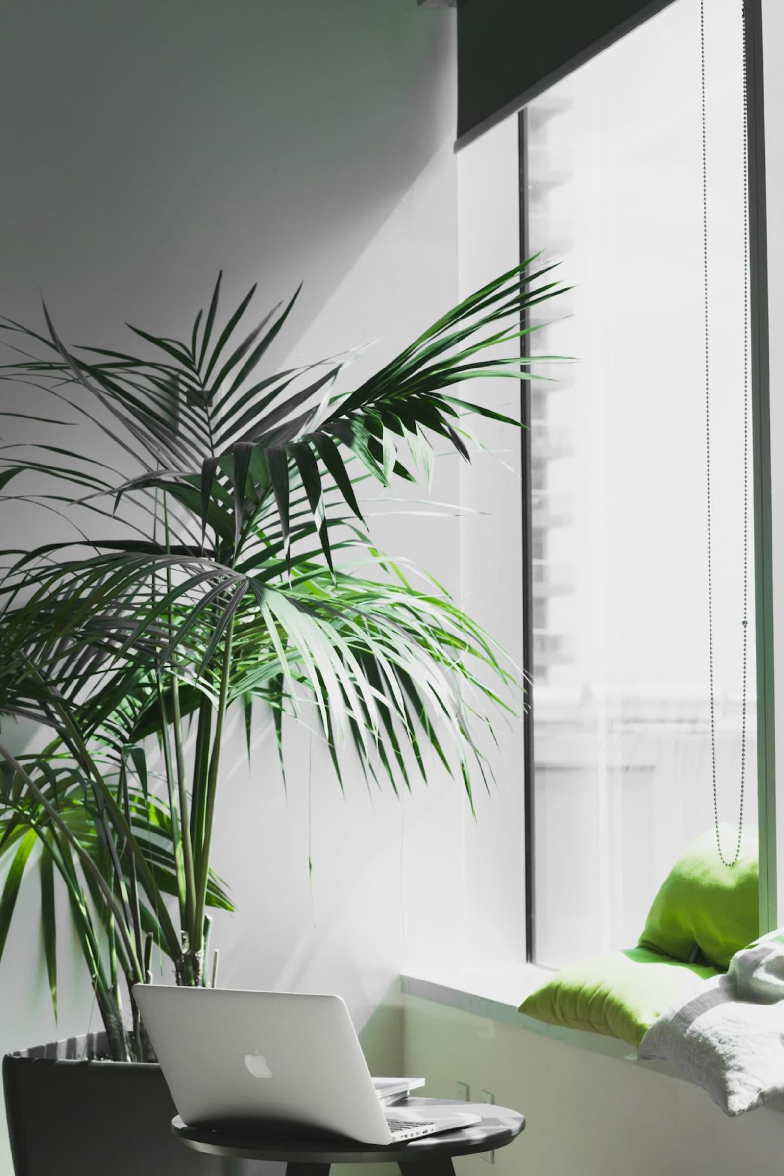 Het kantoor van Isolatiespecialist.nl met veel groen en daglicht